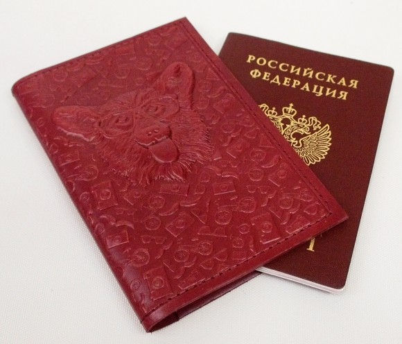 Обложка для паспорта "Хипстер Корги" кожа (3D) цвет бордо