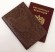 Обложка для паспорта "Хипстер Бульдог" кожа (3D) цвет коричневый