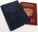 Обложка для паспорта "Хипстер Поросёнок" кожа (3D) цвет синий