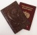 Обложка для паспорта "Хипстер Мастер Тигрица" кожа (3D) цвет коричневый